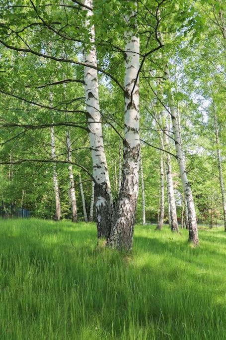 Pokoje Goscinne Dolina Czerwienia Przesieka Esterno foto